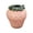 Pink-D, variant on Nnndbs Red Strawberry Ceramic Vase, 6 Inch Cute Fruit Shaped Flower Vase for Fresh or Dried Flowers, Novelty Kitchen Table Centerpiece, Small Desk Decor for Home Office