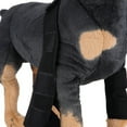 thumbnail image 6 of Pet Dog Front Leg , Dog Canine Leg Knee Hock Joint - Black, S, 6 of 8