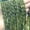 Peridot, variant on HOOUN Natural Bamboo Joint Shape Lapis Lazuli Gemstone Loose Beads for Jewelry Making-lapis lazuli-5X12mm About 32PCS