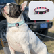 thumbnail image 3 of Collar para perros de lujo: adecuado para perros pequeños y medianos, 3 of 5