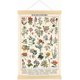 thumbnail image 1 of Wall Art Prints Colorful Rustic Style of Floral Wall Hanging Illustrative Reference Flower Chart Poster for Living Room Office Bedroom Decor Frame 15., 1 of 4