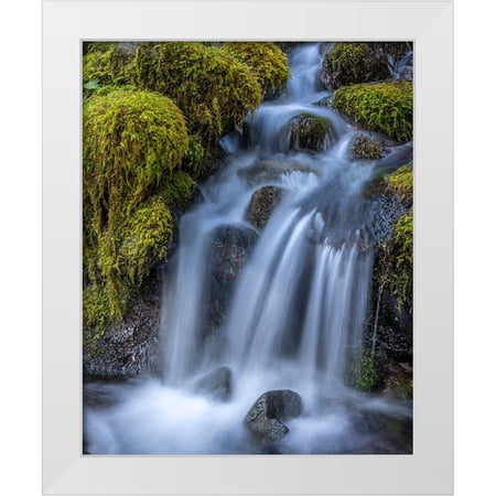 Jaynes Gallery 12x14 White Modern Wood Framed Museum Art Print Titled - USA-Washington State-Olympic National Park Cedar Creek cascades through moss- covered boulders