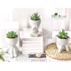 thumbnail image 3 of Set de plantas suculentas artificiales de 3 piezas con macetas para decoración del hogar, 3 of 6