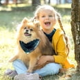 thumbnail image 5 of Constellation Breathable Chiffon Pet Scarf Set of 2 - Translucent Light Collars for Dogs and Cats - 40.6x40.6x58/16x16x22.8in, 53.3x53.3x76.2/20.9x20.9x30 in, 5 of 5