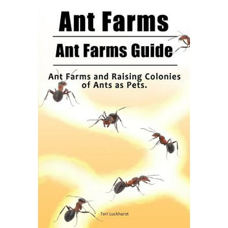Ant Farms. Ant Farms Guide. Ant Farms and Raising Colonies of Ants as