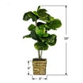 thumbnail image 5 of LCG Florals 38" Artificial Mini Fiddle Leaf Fig Tree in Handwoven Basket, 5 of 5