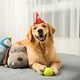 thumbnail image 4 of Adjustable Pet Hat Festive Cats Dog Head Wear For Holiday Parties Photos, 4 of 4
