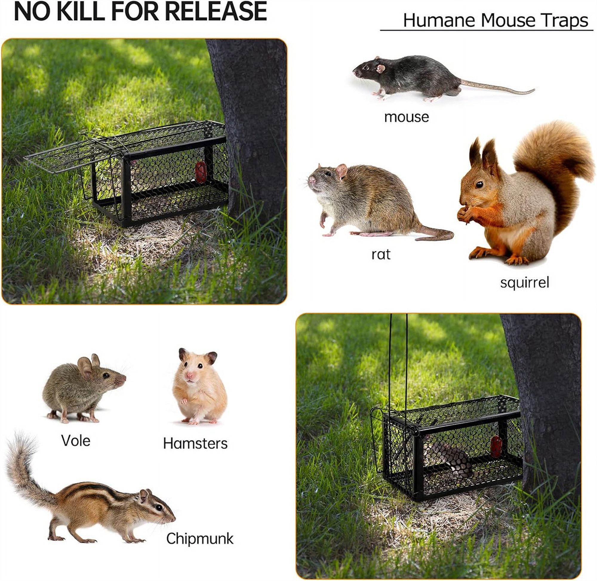 NOGIS Humane Rat Trap,Mouse Traps Indoor Outdoor Live Animal Trap Mouse Voles Hamsters Trap Small Animals Cage Catch Traps, 9x4.5x4.5 Inches (Black,2 Pcs)