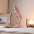 thumbnail image 4 of Mother and Baby Dolphin Resin Figurine 10x4.5cm, 3D Printed Nautical Sculpture with Smooth Texture, Tabletop Shelf Decor for Home Bathroom Gift, 4 of 5