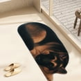 thumbnail image 1 of Ganfancp Alfombra 3D con Tema de Perro, Felpudo de Bienvenida 34.25X15.74In Antideslizante Summer Holiday Funny Novelty Door Mats Indoor Outdoor Decor Artículos En Liquidación 1X Alfombrilla, 1 of 7