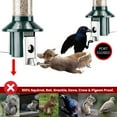 thumbnail image 2 of Roamwild Squirrel Proof Wild Bird Feeder 2.0 - Green - 4LBS Capacity – 26.5”x7.5”x7.5” (w/hanger), 2 of 7