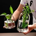 thumbnail image 2 of Creative Hydroponic Plant Glass Simple Modern Bottle Flower Vase for Centerpieces Desktop Home Dining Wedding Modern Wedding, 2 of 9