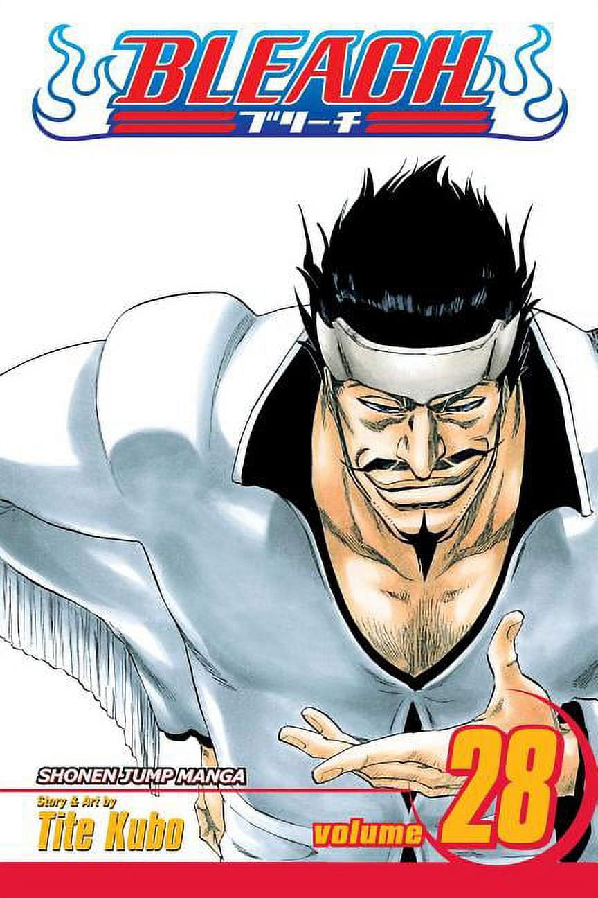Bleach Bleach, Vol. 45, Book 45, (Paperback) - Walmart.com