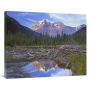 Global Gallery  28 x 35 in. Beaver Dam & Mount Robson - Mount Robson Provincial Park - BC - Canada Art Print - Tim Fitzharris