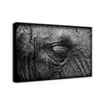thumbnail image 2 of Creative Products Elephant Skin Texture 20x30 Canvas Wall Art, 2 of 5