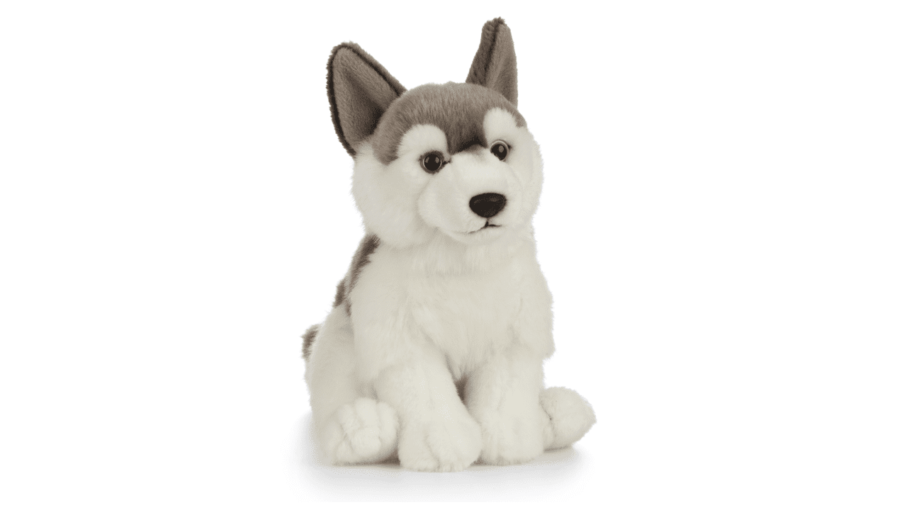 husky plush toys