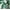 Green Notes, variant on Time and Tru Women's Strappy Maxi Dress, Sizes XS-XXXL