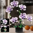 thumbnail image 2 of GZBricker Orchid Flowers Bouquet Building Set, Compatible with Lego Botanical Collection Home Office Decor for Women Adults Girls 619PCS, 2 of 8