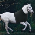 thumbnail image 2 of Naiovety Chaleco elástico negro para caballos Protector de pecho antifricción para un ajuste cómodo Chaleco elástico negro para caballos Cuidado ecuestre y deportes, 2 of 6