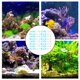thumbnail image 4 of WEUVEB 200Ud Para Acuario En Resina Multicolor Decorativas Y Seguras Para Y Salada, 4 of 6