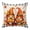 Red, Orange, variant on Throw Pillow Covers, Thanksgiving 24x24 Pillow Covers for Couch/Sofa/Bed, Fall Orange Gnomes Pumpkin Turkey Wooden Grid Decorative Square Linen Cushion Pillowcase for Home Decor