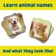 thumbnail image 5 of Chuckle & Roar - Juego de combinación de animales bebés - Juego de mesa para niños de 3 años en adelante - Juego de concentración para niños pequeños - Juego preescolar, 5 of 5