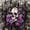 Purple Gray, variant on Homewish Halloween Horror Skull 7-Piece Twin Bedding,Purple Rose Butterfly Bedding Comforter Set,Black Reversible