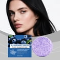 thumbnail image 6 of Blueberry Fields Shampoo Conditioner - Blueberry Fields Shampoo Conditioner Bundle For Soft Nourished Hair Sulfate-Free Daily Care Set With Natural Berry, 6 of 7