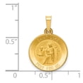thumbnail image 2 of 14K Yellow Gold Charm Pendant 17 mm 15 Polished And Satin St. Luke Medal, 2 of 3