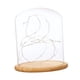 thumbnail image 1 of Pantalla de Cristal Domo BLESIY con Luces LED Suspendidas Decoración de Vacaciones, 1 of 8