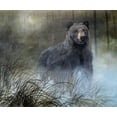 thumbnail image 2 of Lynnsy, B. 30x26 Black Ornate Wood Framed with Double Matting Museum Art Print Titled - Misty Wild III, 2 of 4