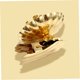 thumbnail image 5 of FUTUREORYY 15Ud Soporte Decorativo Metálico Dorado Para Velas En Y Árbol De, 5 of 7
