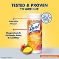 thumbnail image 3 of Lysol® Disinfecting Wipes, Mango & Hibiscus, 35 count, 3 of 12