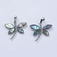 thumbnail image 2 of Abalone Shell/Paua Shell Pendants with Platinum Tone Brass Bail Dragonfly 28x29x4mm Hole: 5x8mm, 2 of 3
