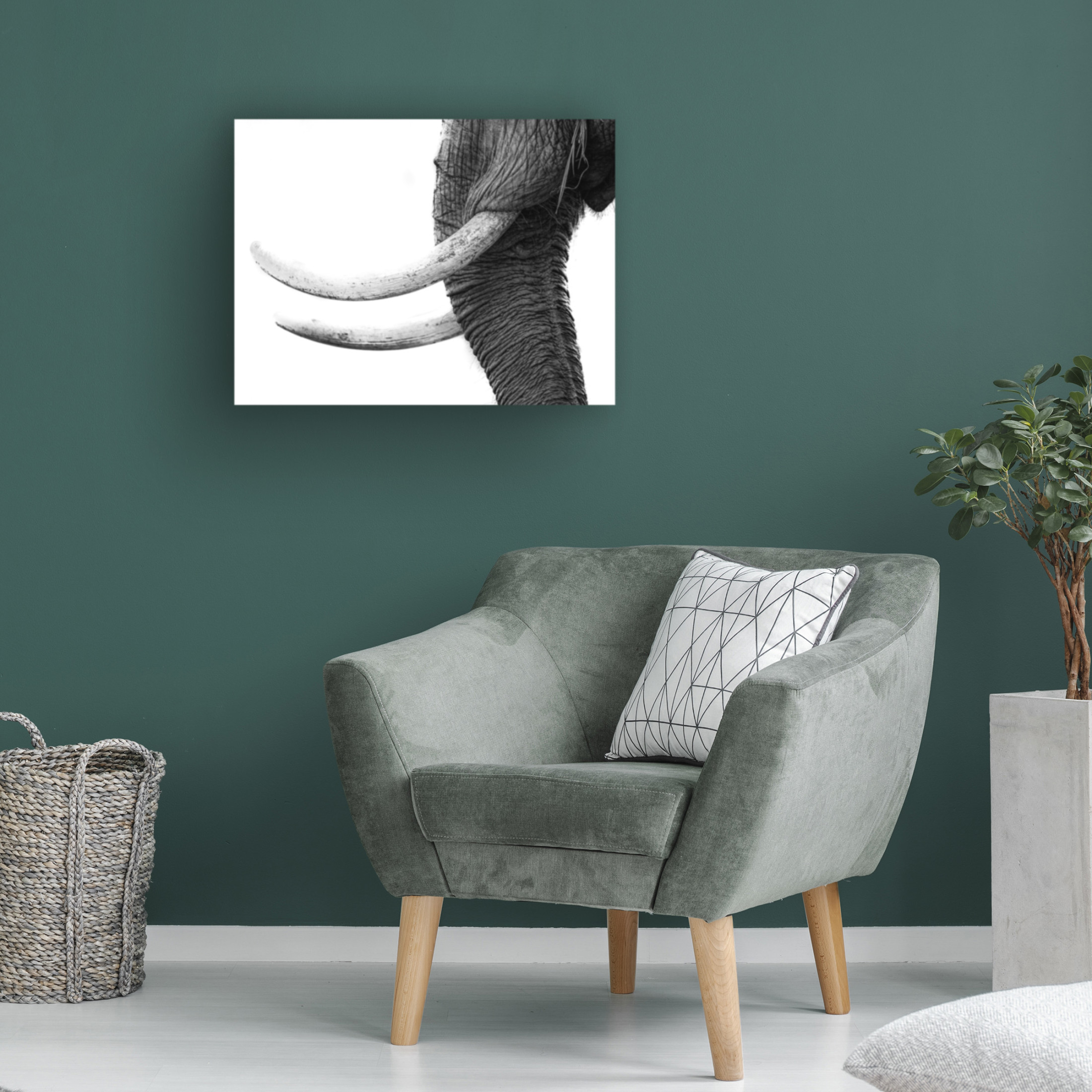 Canvas Wall Art - Jaco Marx 'White Gold' Wall Art for Living Room, Bedroom, or Office D?cor by Trademark Fine Art - 47 x 35 Inches