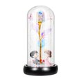 thumbnail image 1 of Golden Foil Rose in Glass Dome with Adjustable LED Lights for Decoration Multi Color 7 Inch, 1 of 4