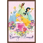 Disney Princess - Courage and Dream Wall Poster, 14.725" x 22.375", Framed