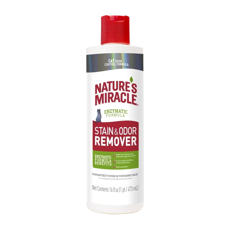 cat urine remover walmart