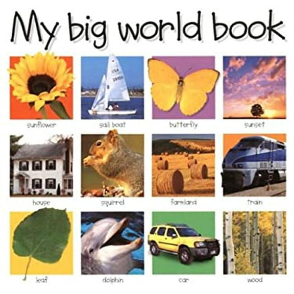 Pre-Owned My Big World Book (Board Book) 9780312491222