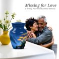 thumbnail image 7 of Mountain Little Memorial Urns For Adult Male - Miniature Funeral Urn For Ashes For Women - Blue Cremation Urn For Brother & Sister - Small Keepsake Urns For Father And Mother - 3 Inch, 7 of 7