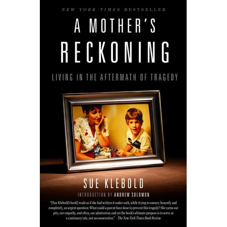 A Mother's Reckoning : Living in the Aftermath of
