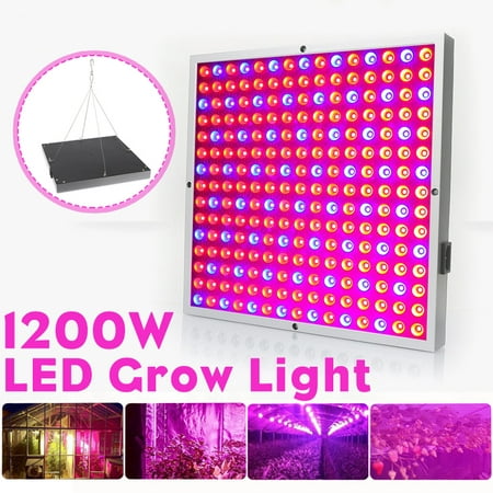 Grow Light Fixture, Full Spectrum LED Grow Lights, 1200W LED Panel Grow Lamp Grow Lights, for Indoor Plants, Succulents, Seedling, Vegetables, Lettuce, Tomatoes and (Best Way To Grow Lettuce Indoors)