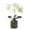 White, variant on tasrioml Artificial Potted Plant Faux Moth Orchid Bonsai Desktop Artificial Potted Phalaenopsis Flowers for Home Dining Table Office Desk Decoration