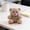 Gray, variant on 4.3 Inch Teddy Bear Stuffed Animal, Soft Stuffed Teddy Bear Plush Toy, Birthday Xmas Gifts, Home Living Room Bedroom Desk Decorations