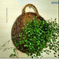 thumbnail image 3 of Cesta de flores para colgar en la pared Maceta para colgar en la pared Cesta colgante de ratán tejido a mano con forma de nido de pájaro Cesta tejida a mano estilo pastoral para colgar en la pared, 3 of 5