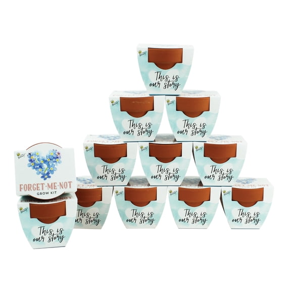 Macetas Mini BUZZY "No Me Olvides" 5 cm Paquete de 12