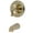 Polished Brass, variant on Kingston Brass Magellan Single Handle Tub Faucet