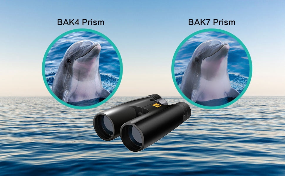 Binoculars for Adults High Powered Birds of Prey - 12x50 Binoculars for Kids with Carrying Case and Strap - Binoculars for Bird Watching, Binoculars for Cruise Ship, Travel Essentials and Camping Gear