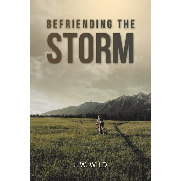 Befriending the Storm (Paperback)