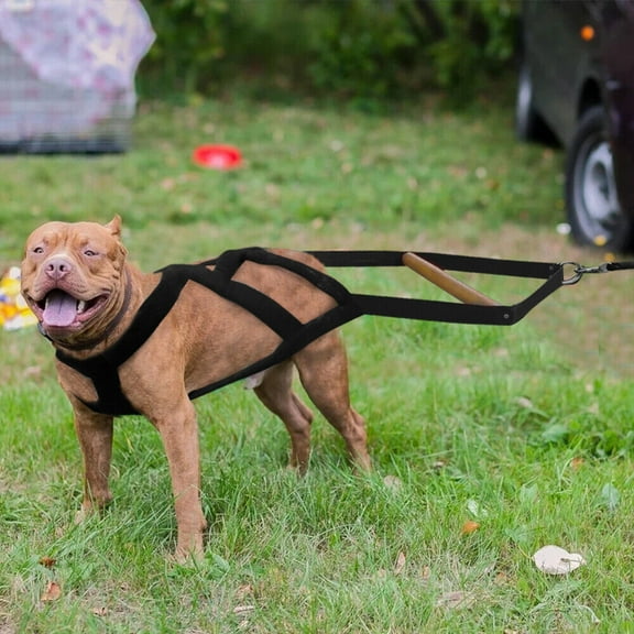 Didog Strong Dog Weight Pulling Harness Heavy Duty Padded Pet Sledding Training Vest